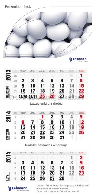 lohmann_kalendarz_2014_wizual_grafika